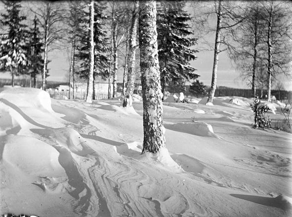 Tähän aikaan vuodesta: Talviteitä liikuttiin reellä ja hevosella