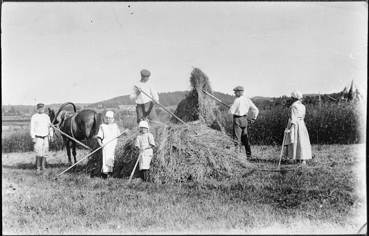 Helppoa kuin heinänteko? Viikatteella se käy kuin leikki!