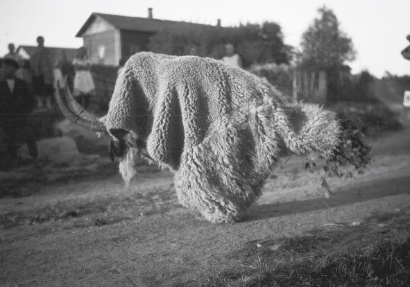 Tähän aikaan vuodesta: Nuuttipukit lähtevät liikkeelle