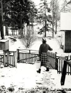 Kuu kiurusta kesään?