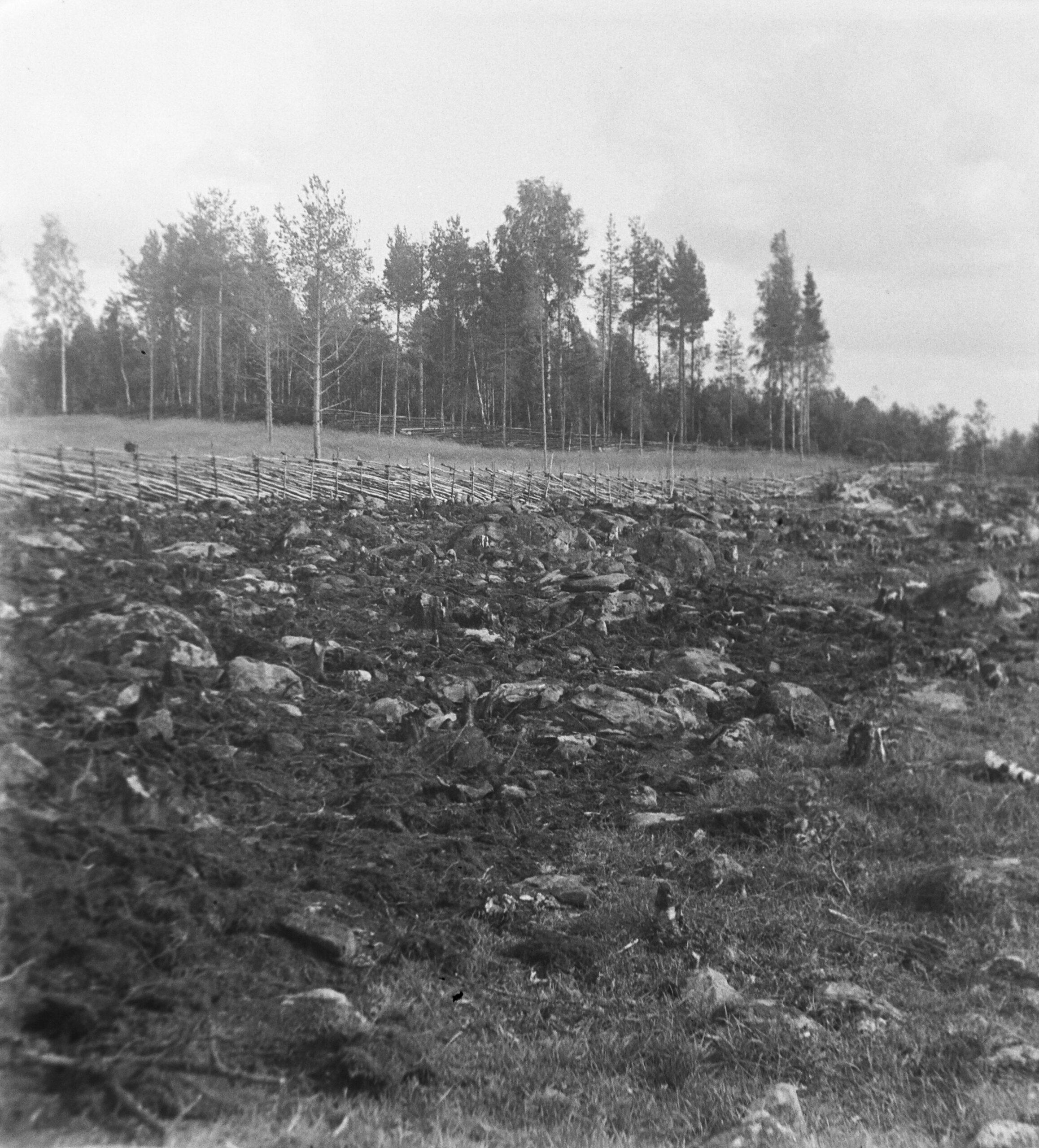 Näyttelyyn ja syvemmälle: Kaskeaminen