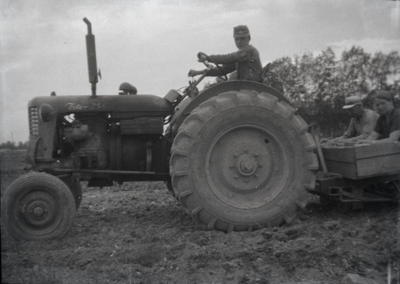 Ankarat ajat – maatalouden koneellistumisen vaikeudet 1940–1950-luvuilla
