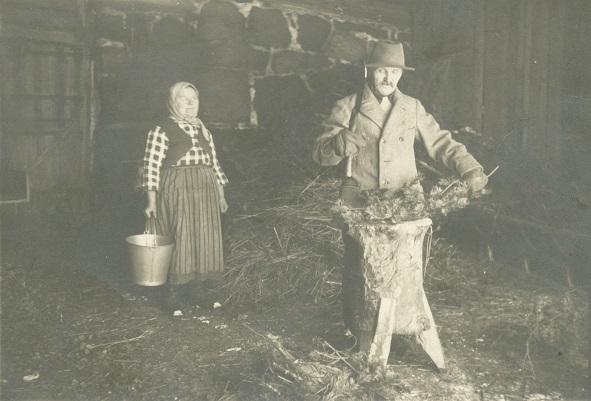 Talvisia töitä: Havujen hakkuu