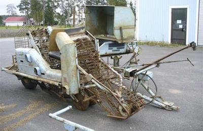 hilleshog