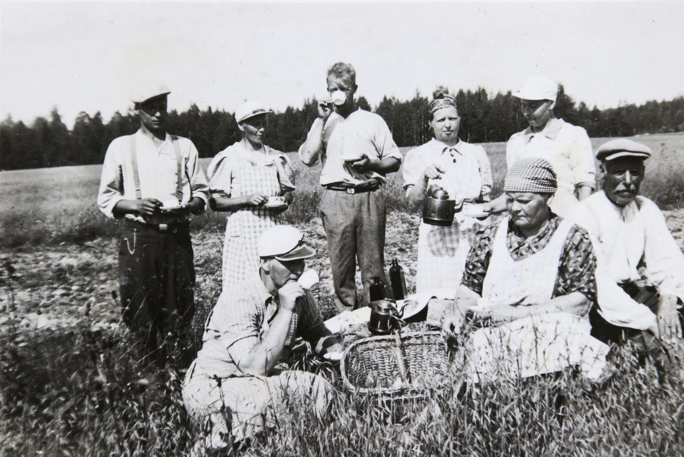 Kippis! Muutama lasillinen juomien historiaa