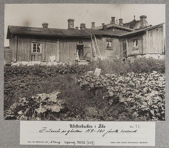 Nauris vastasi perunaa